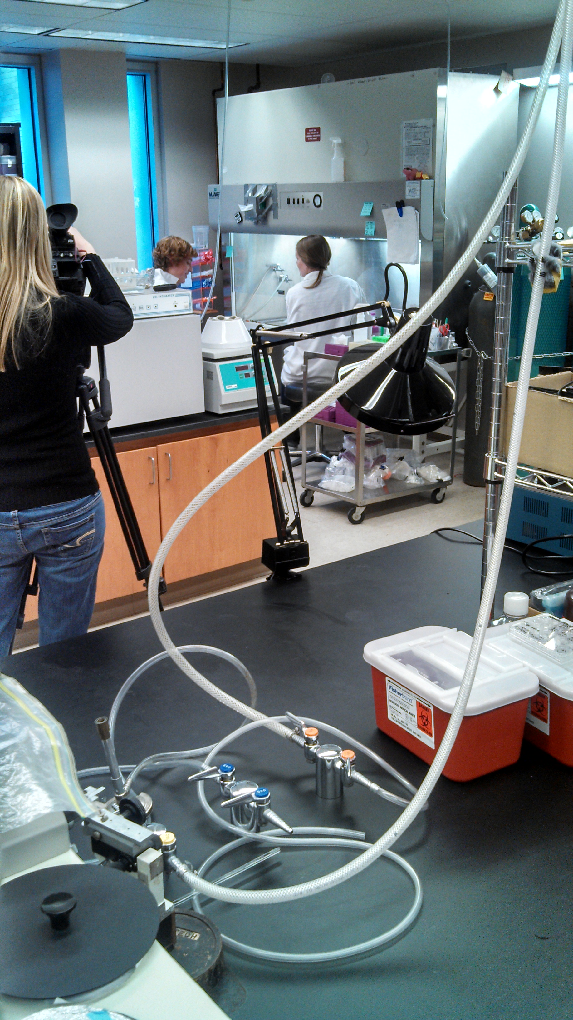 Dr Cady Lab